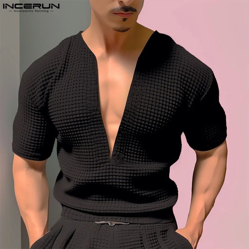 INCERUN Tops 2024 Korean Style Fashion New Men V-neck Texture T-shirts Casual Streetwear Male Solid Short Sleeved Camiseta S-5XL