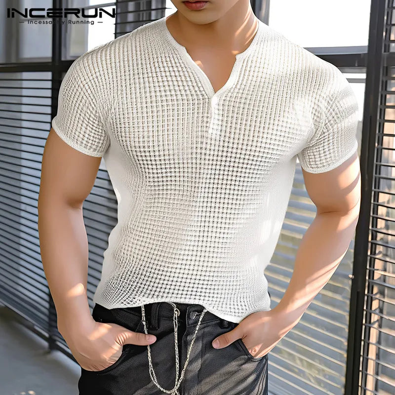 2024 Men's T Shirt Plaid V Neck Short Sleeve Transparent Streetwear Casual Tee Tops Men Fitness Fashion Camisetas S-5XL INCERUN