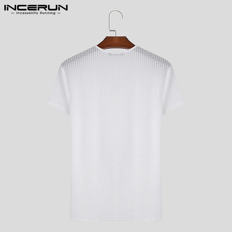 2024 T-shirt à carreaux pour hommes, col en V, manches courtes, transparent, streetwear, décontracté, hauts, fitness, mode, camisetas S-5XL INCERUN