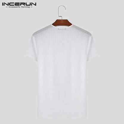 2024 Men's T Shirt Plaid V Neck Short Sleeve Transparent Streetwear Casual Tee Tops Men Fitness Fashion Camisetas S-5XL INCERUN