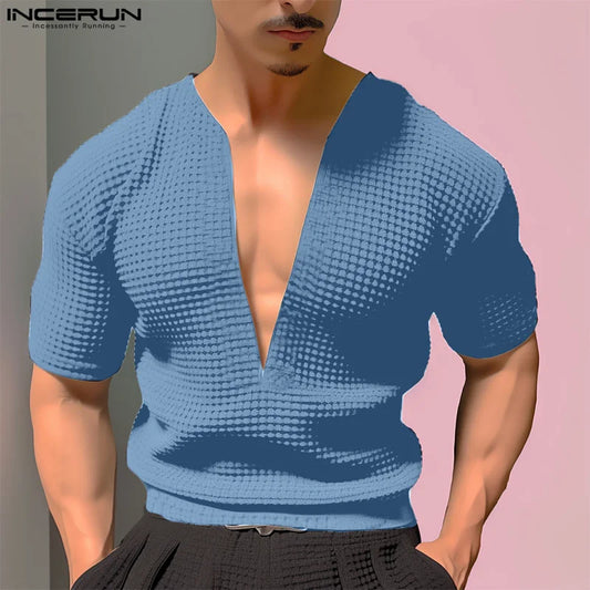 INCERUN Tops 2024 Korean Style Fashion New Men V-neck Texture T-shirts Casual Streetwear Male Solid Short Sleeved Camiseta S-5XL