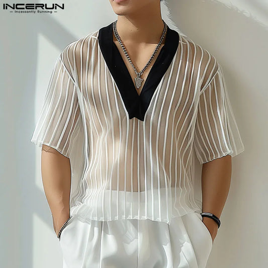 INCERUN Tops 2024 Korean Style Sexy Men's Striped V-neck See Through T-shirts Casual Streetwear Thin Half Sleeved Camiseta S-5XL