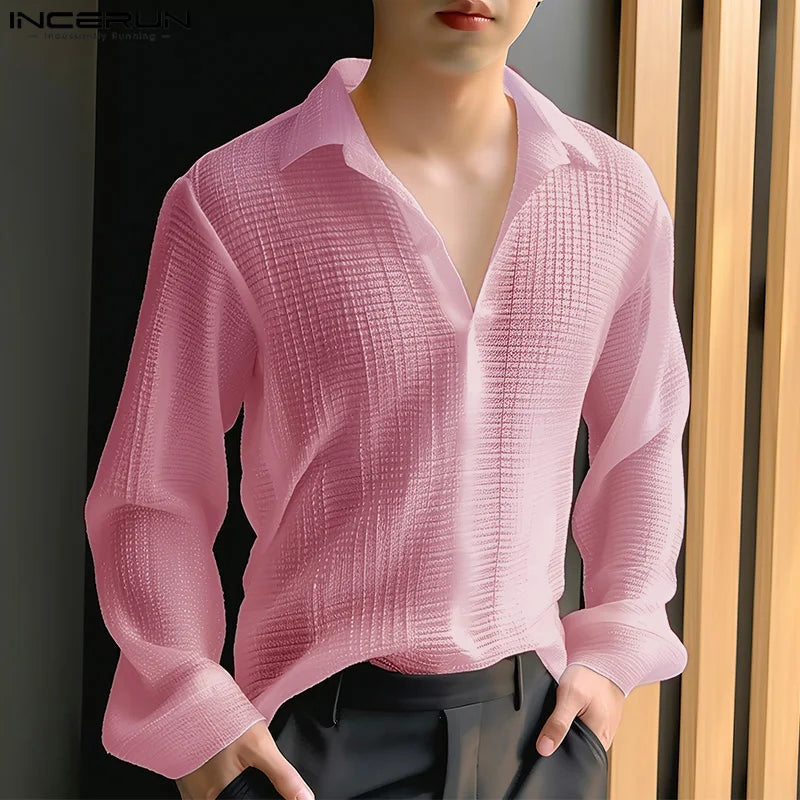 INCERUN Tops 2024 Korean Style New Men V-neck Texture Lapel Collar Shirts Fashionable Male Solid Color Long Sleeved Blouse S-5XL